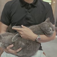 luongruoii