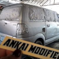 ankaimodified
