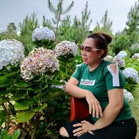 suara asli - moy