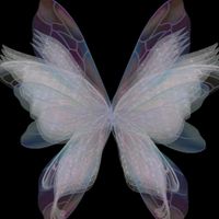 original sound - tia🦋