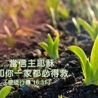 原聲 - Pi network