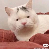 nhạc nền - TheLong361