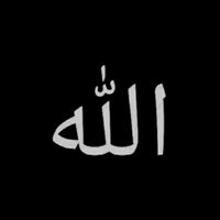 arzuhassan786