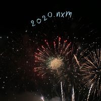 2020.nxm