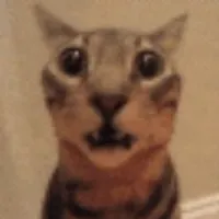 original sound - kit._.katt00