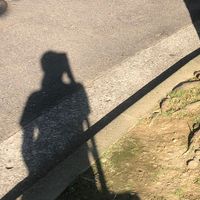 原聲 - Lu西