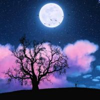 original sound - mood nightシ
