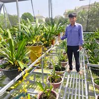 nhạc nền - Nguyễn Ngọc Truyền
