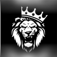 original sound - stylo king