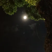 original sound - konmek2001