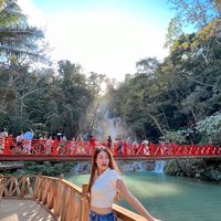ming_264