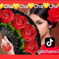 lichamo7