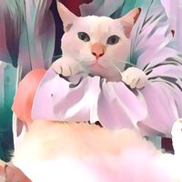 original sound - myMEOWs