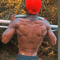 237reallion9