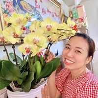 nhạc nền - HoangOanh