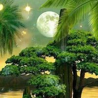original sound - naturebeautyscenery