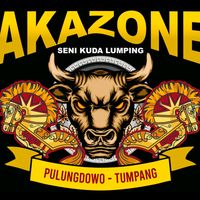 akazonejunior