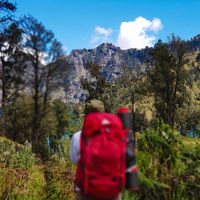 เสียงต้นฉบับ - Arienadrn 🏕️