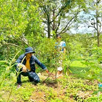 original sound - parksoorim3