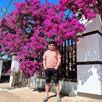 .phancongdung