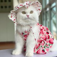 namzom_5154