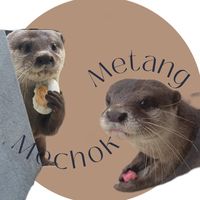 metang_mechok