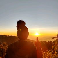 p_zealtiktok