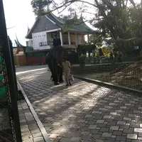 original sound - va_r_sary