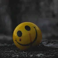 original sound - pakpro.seller