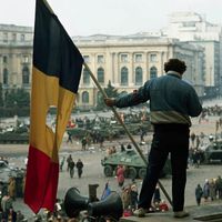 romanian.content.fy