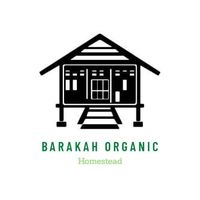 zarah_barakahorganic