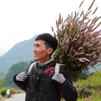 nhạc nền - Sơn Lâm