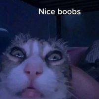 original sound - ♡%