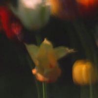 nhạc nền - Giáp Hoàng Hân