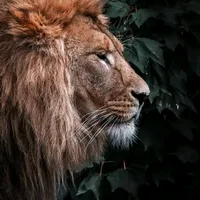 original sound - kashif__writes