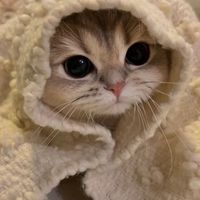 只對你有感覺