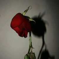 original sound - sad video