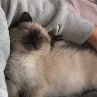 lilyxy_