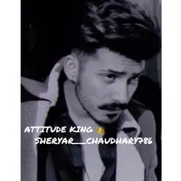 original sound - sheryar___chaudhary786