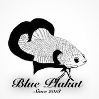 blueplakat
