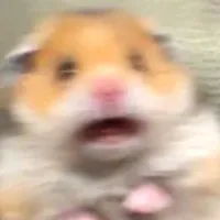 you found me the fray