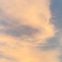 timeless_ss