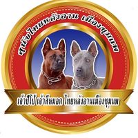 เสียงต้นฉบับ - บ้านภูผาหมอก ไทยหลังอานชุมแพ
