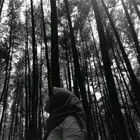 suara asli - cesikee
