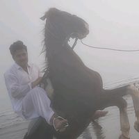 sahilakashkhan