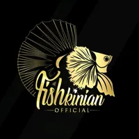 original sound - fishkinian