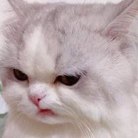 original sound - Lily