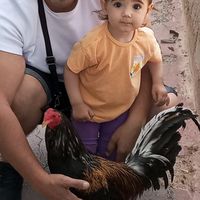 amador_juakin