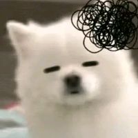 jwbxjsbz