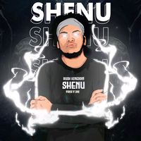 gaming_shenuu